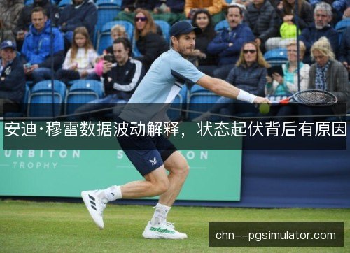 安迪·穆雷数据波动解释,状态起伏背后有原因 安迪·穆雷数据波动解释,状态起伏背后有原因